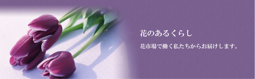 ֤Τ뤯餷